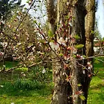 Róza és 3* Esztergom