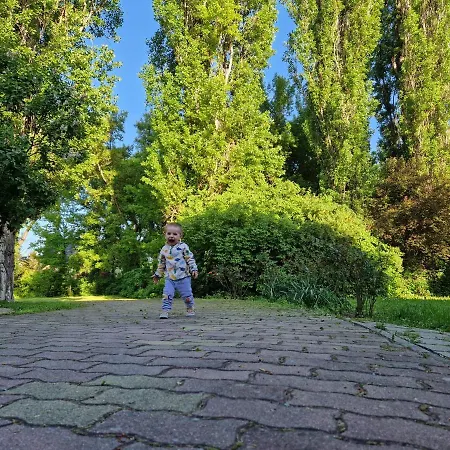 Otel Roza Es Apartmanhaz