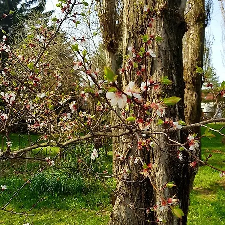 Roza Es Apartmanhaz 3* Esztergom
