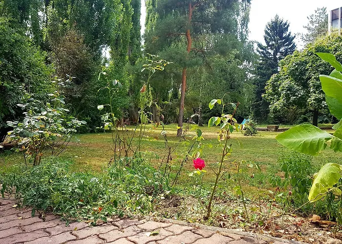 Otel Roza Es Apartmanhaz 3*