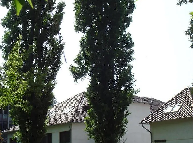 Roza Es Apartmanhaz 3* Esztergom